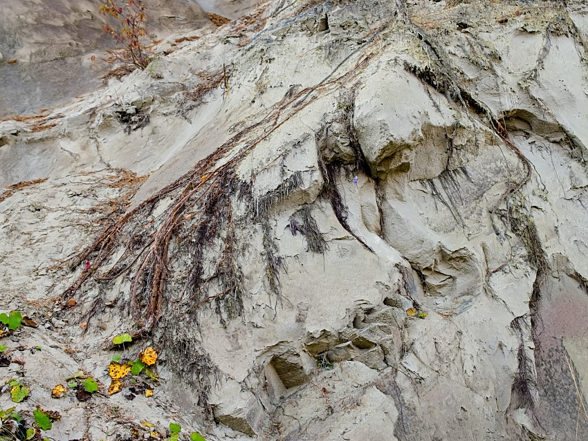 pískovcová stěna 2