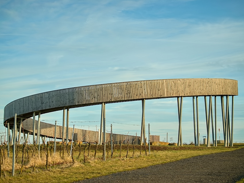 Stezka nad vinohrady